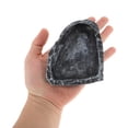 thumbnail image 4 of Plato de comida para reptiles Unique Bargains de resina, plato de comida para lagartos, tazón de agua para tortugas 4.72"x3.74"x0.98" Negro, 4 of 6