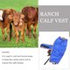 thumbnail image 3 of unbranded 1Ud Impermeable Para Terneros Color Con Protección Frío Y Cómodo Para Rancho, 3 of 6