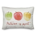thumbnail image 2 of Creative Products Autumn is Sweet Apples 14x20 Spun Poly Pillow, 2 of 3