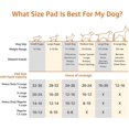 thumbnail image 5 of Dog And Puppy Training Pads, Leakproof, Multilayer Layer Design With Quick-dry Surface Puppy Pads, 5 of 5