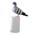 thumbnail image 4 of Dispensador automático de jabón Macarena forma de pájaro gris, 4 of 8