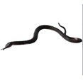 thumbnail image 3 of 5pcs Imitation Rubber Snake Toys Fear False Snake Rubber Snake Trick Toys, 3 of 3