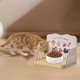 thumbnail image 4 of Comedero elevado para gatos Comedero para gatos de interior Plataforma para cuencos Soporte de altura ajustable, 4 of 4