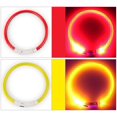 thumbnail image 5 of Collier pour Chien Rechargeable LED Clignotant Lumineux de Nuit avec Collier pour Chiots, 5 of 5