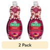 (2 pack) Palmolive Ultra Dish | Soft Touch on Hands| Passion Fruit & Mandarin Scent - 20 oz