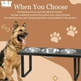 thumbnail image 3 of Bearwood Essentials Your Pet's Dining Experience with Premium 3-Bowl Industrial Elevated Dog Feeder, 3 of 6
