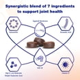 thumbnail image 3 of MovoFlex Advanced Joint Support Supplement for Dogs - Hip and Joint Support - Dog Joint Supplement - Hip and Joint Supplement Dogs - 60 Soft Chews for Small Dogs (by Virbac), 3 of 7