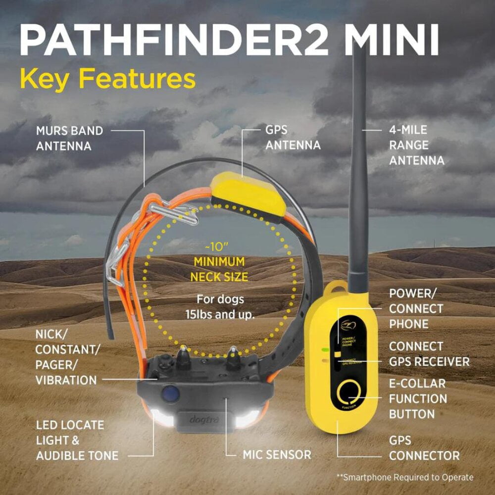 Dogtra Pathfinder 2 Mini GPS Dog Tracker E Collar - 4 Mile Range, Waterproof, No Monthly Fees