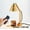 Golden110V-US, variant on Folding Aroma Candle Warmer Lamp with Timer and Dimmer Metal Wax Melting Lamp for Home Decor Adjustable Height Candle Lattern (Golden220V-EU)