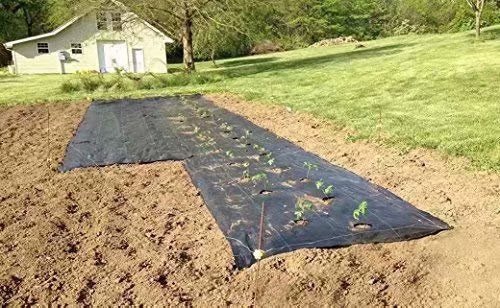 Agfabric Easy-Plant Weed Block for Raised Bed Outdoor Garden Weed Rugs Garden mat 3.0oz, 3'x12',with Planting Hole Dia 6" - image 5 of 6
