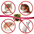 thumbnail image 5 of Natural Armor Peppermint Repellent for Mice/Mouse, Rats & Rodents. All Natural Safe Spray for Indoor/Outdoor Use. Natural Armor Rodent Shield. 128 OZ Gallon Ready to Use, 5 of 7