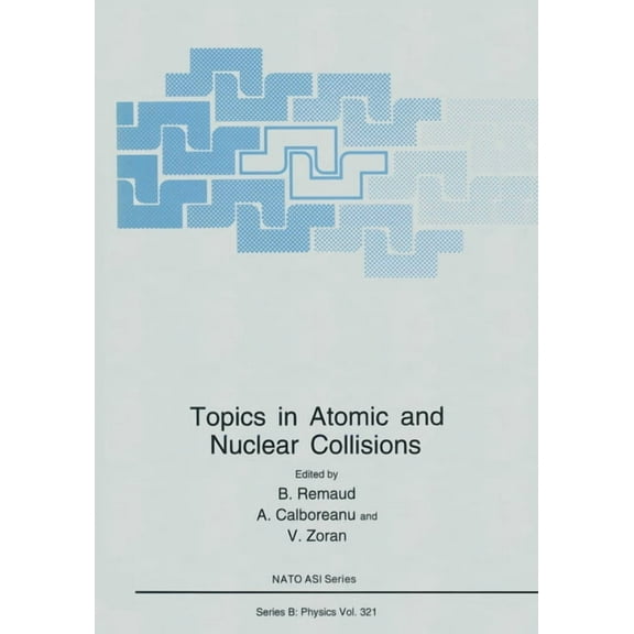 NATO Asi Series Topics in Atomic and Nuclear Collisions, Book 321, (Hardcover)