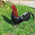 thumbnail image 4 of Bobasndm Rooster Decor Garden Statue Metal Chicken Yard Art Sculpture Outdoor Figurines,Acrylic Garden Statue Chicken for Yard, 4 of 9