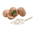 thumbnail image 4 of Dig Up Dinosaur Fossil Eggs 12-Pack, Dig Kit Fossil Eggs and Discover Dinosaurs, Funny Dinosaur Digging Toy for 6 Year Old Kids Archaeology Science, 4 of 5