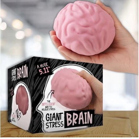giant 5.11" stress brain, stress reliever , sensory squish ball