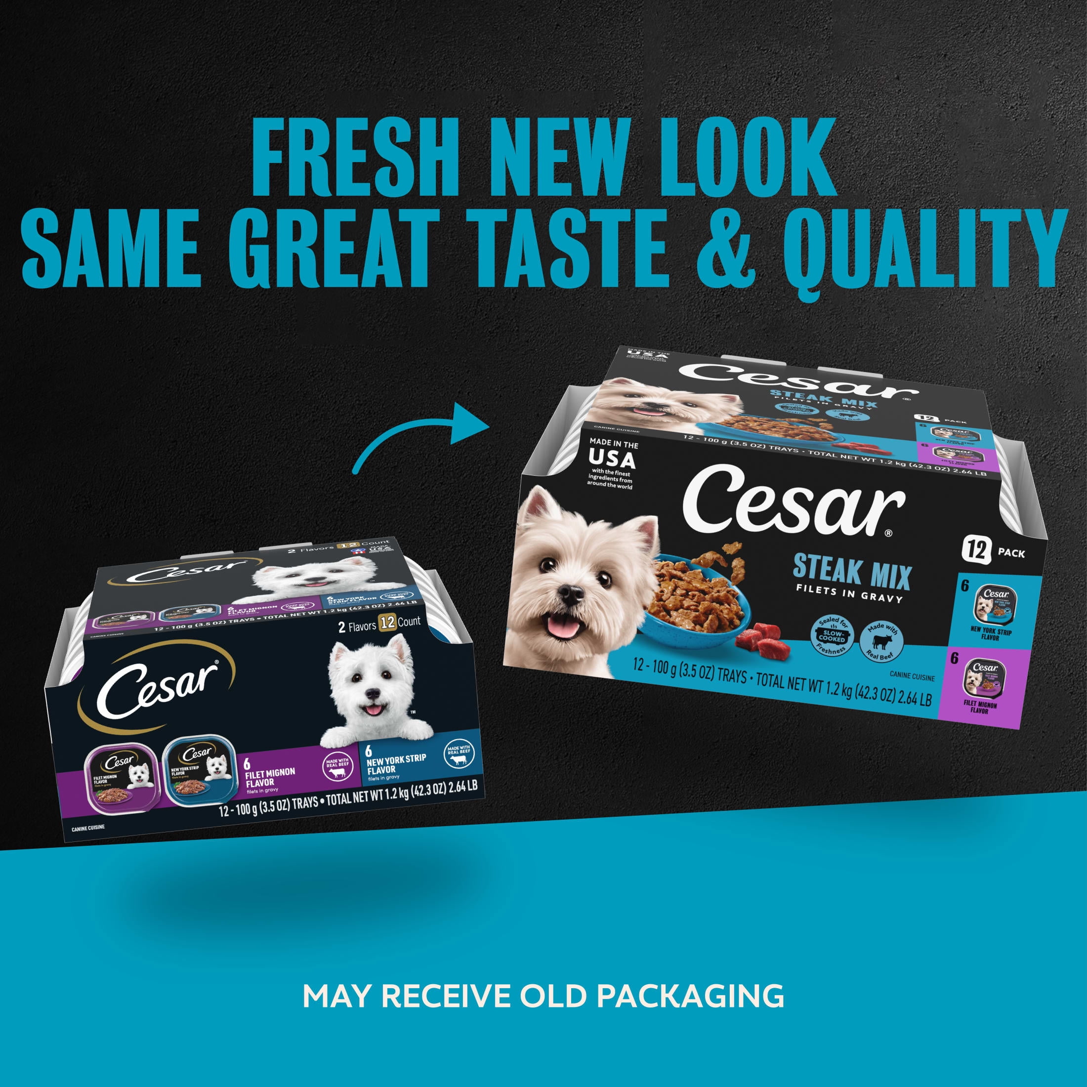 Cesar Filets in Gravy Beef Flavor Variety Pack Wet Dog Food Adult, 3.5 oz Easy Peel Trays, 12 Pack