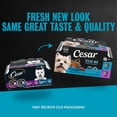 thumbnail image 4 of Cesar Filets In Gravy Beef Flavor Variety Wet Dog Food Adult, 3.5 Oz Easy Peel Trays (12 Pack), 4 of 15