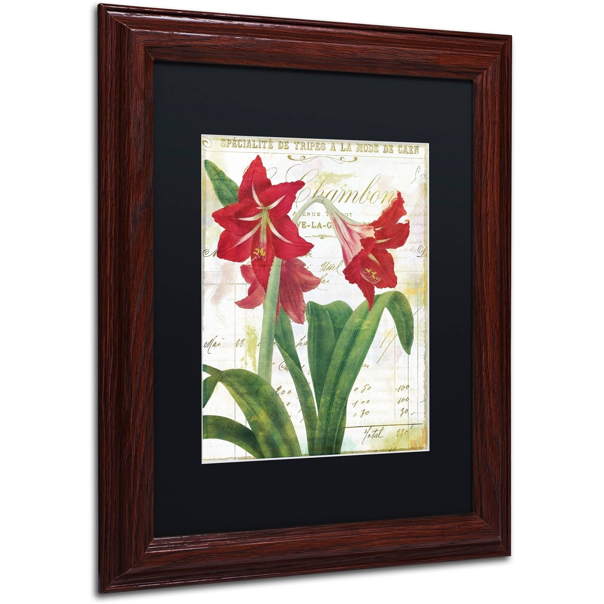 Trademark Fine Art "Peppermint Amaryllis" Canvas Art by Color Bakery Black Matte, Wood Frame