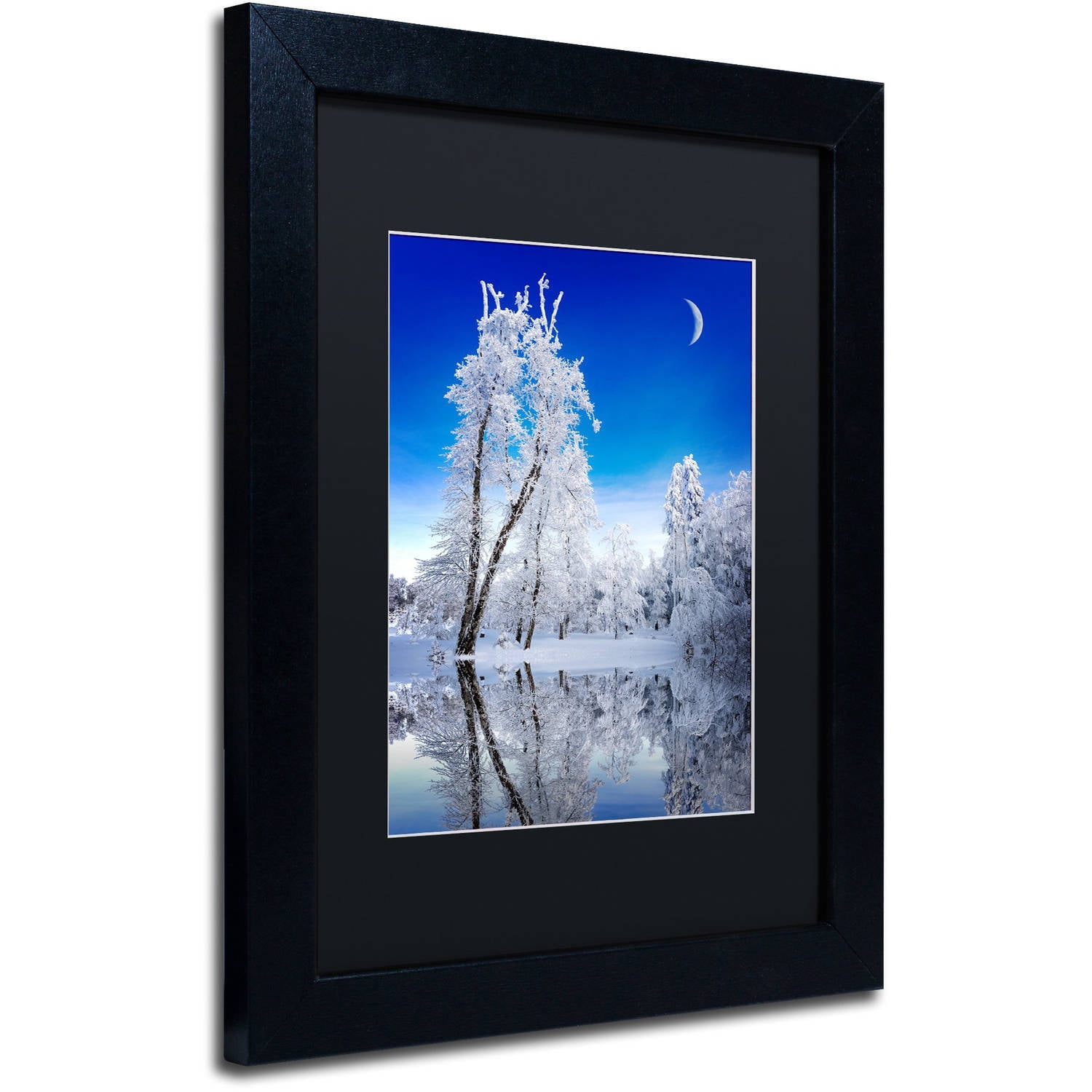 Trademark Fine Art "Emotive Ballad Canvas Art" Canvas Art by Philippe Sainte-Laudy, Black Matte, Black Frame