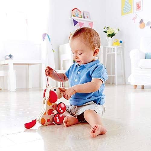 hape pepe pull along