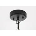 thumbnail image 4 of Elegant Lighting Amaris 23 inch LED Outdoor Pendant in Black, 4 of 9