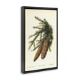 thumbnail image 3 of Stupell Industries Victorian Spruce & Fir Cones Black Floating Frame Canvas Art, 17 x 25, by Tina Higgins Designs Inc., 3 of 8