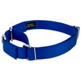 thumbnail image 5 of Country Brook Petz® Martingale Nylon Collar/Double Handle Leash - Royal Blue - Extra Large, 5 of 7