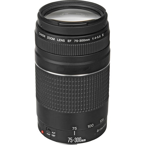 Canon EF 75-300mm F4-5.6 IS USM-