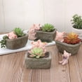 thumbnail image 3 of BOLLSLEY Animal Succulent Herb Planter Flower Basket Pot Trough Box Plant Easter Home Decor, Pig, 3 of 6