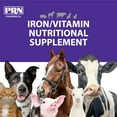 thumbnail image 3 of PRN Pharmacal Liqui-Tinic 4X - Iron and Vitamins Oral Nutritional Supplement for Pets- Liver-Flavored Supplement with Iron and B-Complex Vitamins to Support Wellness - 1 Gallon, 3 of 7