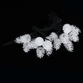 thumbnail image 2 of Luces de piña cálidas con energía solar de 20 LED para decoración de patios y jardines (resistentes al agua hasta 4,8 m), 2 of 8
