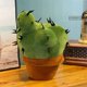 thumbnail image 5 of Almohada de cactus (37 cm / 14,56 pulgadas), linda almohada, almohada de escritorio, almohada de felpa de cactus, muñeca de cactus, se puede usar como cojín para escritorio, cama, sofá, asiento, 5 of 5
