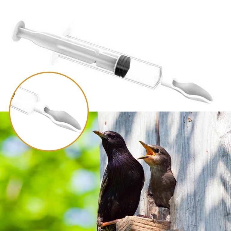 Bird supplies best sale walmart