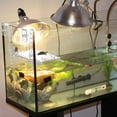 thumbnail image 4 of WRITWAA Tortoise Basking Acrylic Transparent 1Set for Friends with Turtle Pets, 4 of 8
