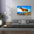 thumbnail image 4 of Epic Graffiti 'Wild Life 2' by Ata Alishahi, Giclee Canvas Wall Art, 60"x40", 4 of 8