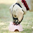 thumbnail image 4 of Dog Mouth Mask, Anti Bite, Barking, And Indiscriminate Eating. Medium To Large Dog Mask, Golden Fur Anti Barking Device, Pet Dog, 4 of 7