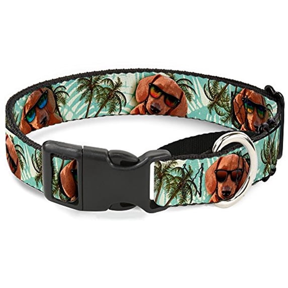 buckle-down dachshund in shades with palm trees martingale dog collar