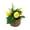 B, variant on Mini Artificial Lemon Tree, Faux Greenery Desktop Decor for Home, Wedding & Office Tabletop Accents