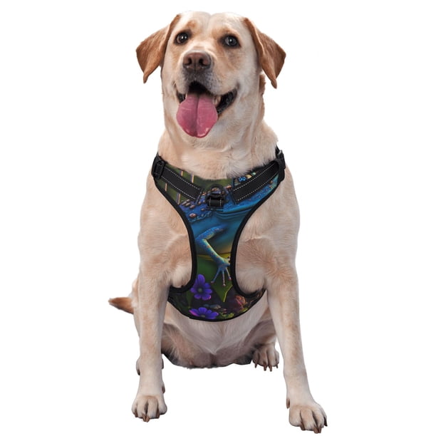 Fotbe Cute Blue Frog Arnés para Perro con Estampado –Chaleco Ajustable Acolchado con Asa de Control para Perros Grandes-Large