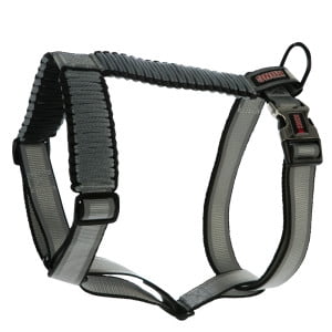 kong harness large