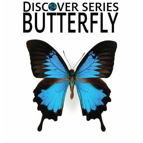 Discover Butterfly, (Hardcover)