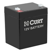 CURT Breakaway Battery