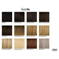 thumbnail image 2 of Hairdo 16 inch Fineline Tru2Life Styleable Synthetic Extensions R1416T Buttered Toast, 2 of 2