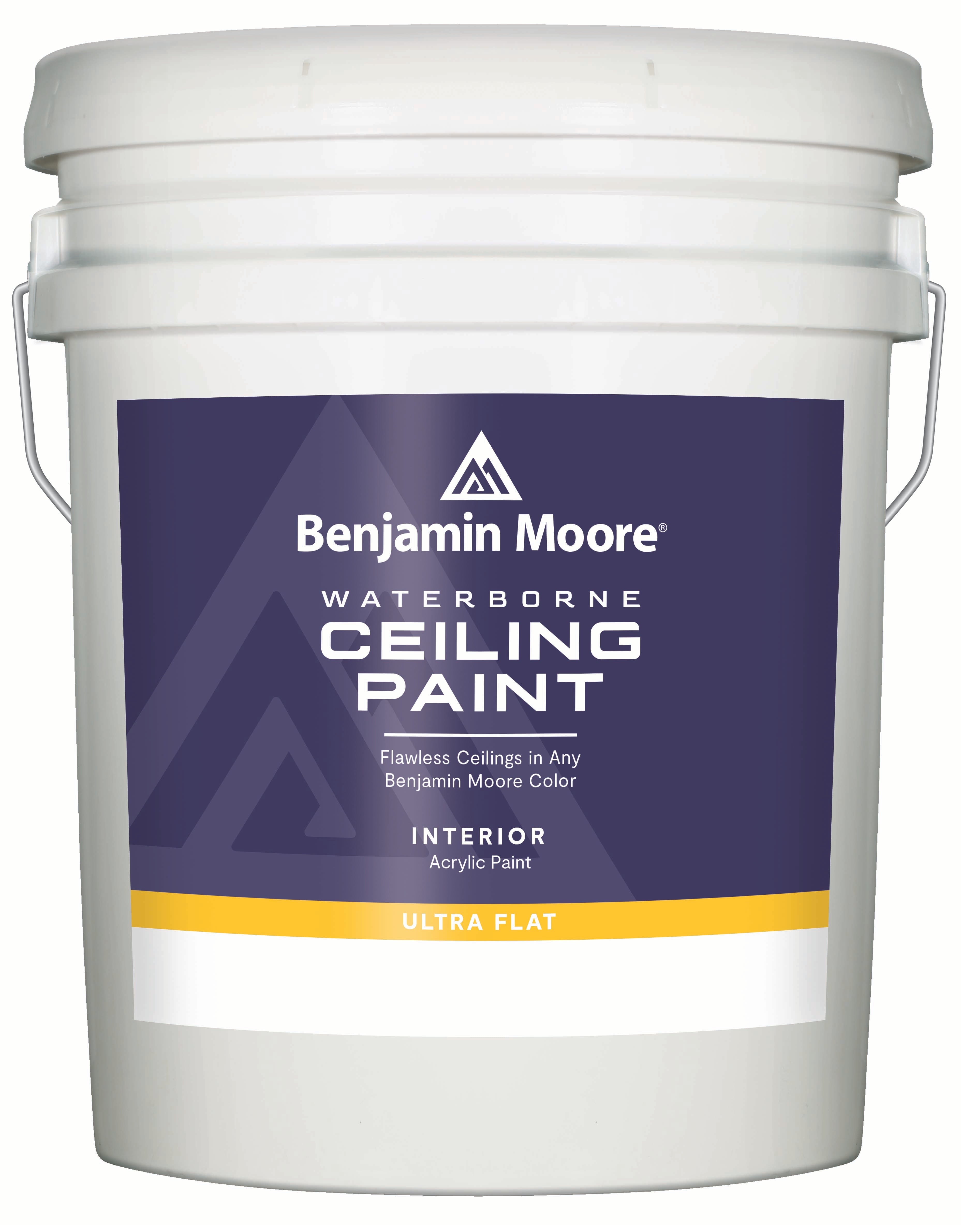 Waterborne Ceiling Paint