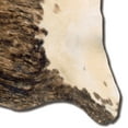 thumbnail image 2 of Cowhide, Brown Stencil and Brown Stencil Full Skin, 2 of 2