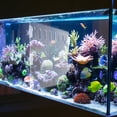 1 Set Creative Baffle Isolation Plate Fish Tank Accessories Segregation