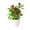 Red berry, variant on YYDENG 9.45 in Artificial Lemon Tree Potted , 1pc Lemon Nature Vase with Lifelike Leaves for Home Decor Living Room Study Balcony Kitchen Decoration