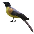 thumbnail image 3 of Pájaro artificial Decoración Jardín Animal Pájaro Escultura Jardín Decoración Estatua 11 Gloria Pájaro artificial, 3 of 6