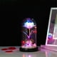 thumbnail image 5 of Cúpula de cristal romántica multicolor con flores artificiales y luces LED | Base de madera de pino para San Valentín, bodas y regalos navideños | Decoración del hogar de 11 x 20 cm, 5 of 7
