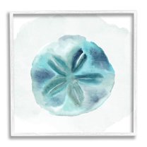 Stupell Industries Beachy Blue Sand Dollar Graphic Art White Framed Art Print Wall Art, Design by Kim Allen